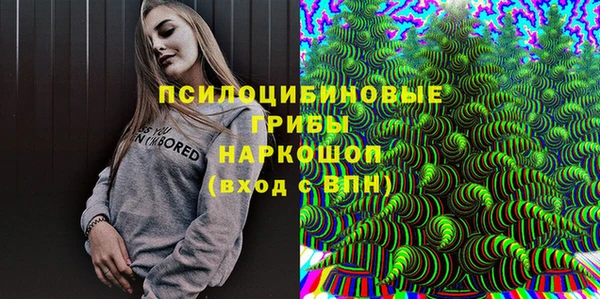 амф Няндома