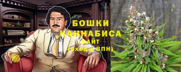 амф Няндома