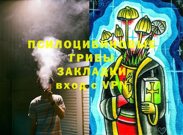 амф Няндома