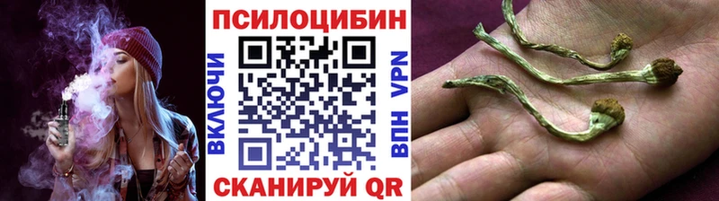 цены   Белый  Галлюциногенные грибы мухоморы 